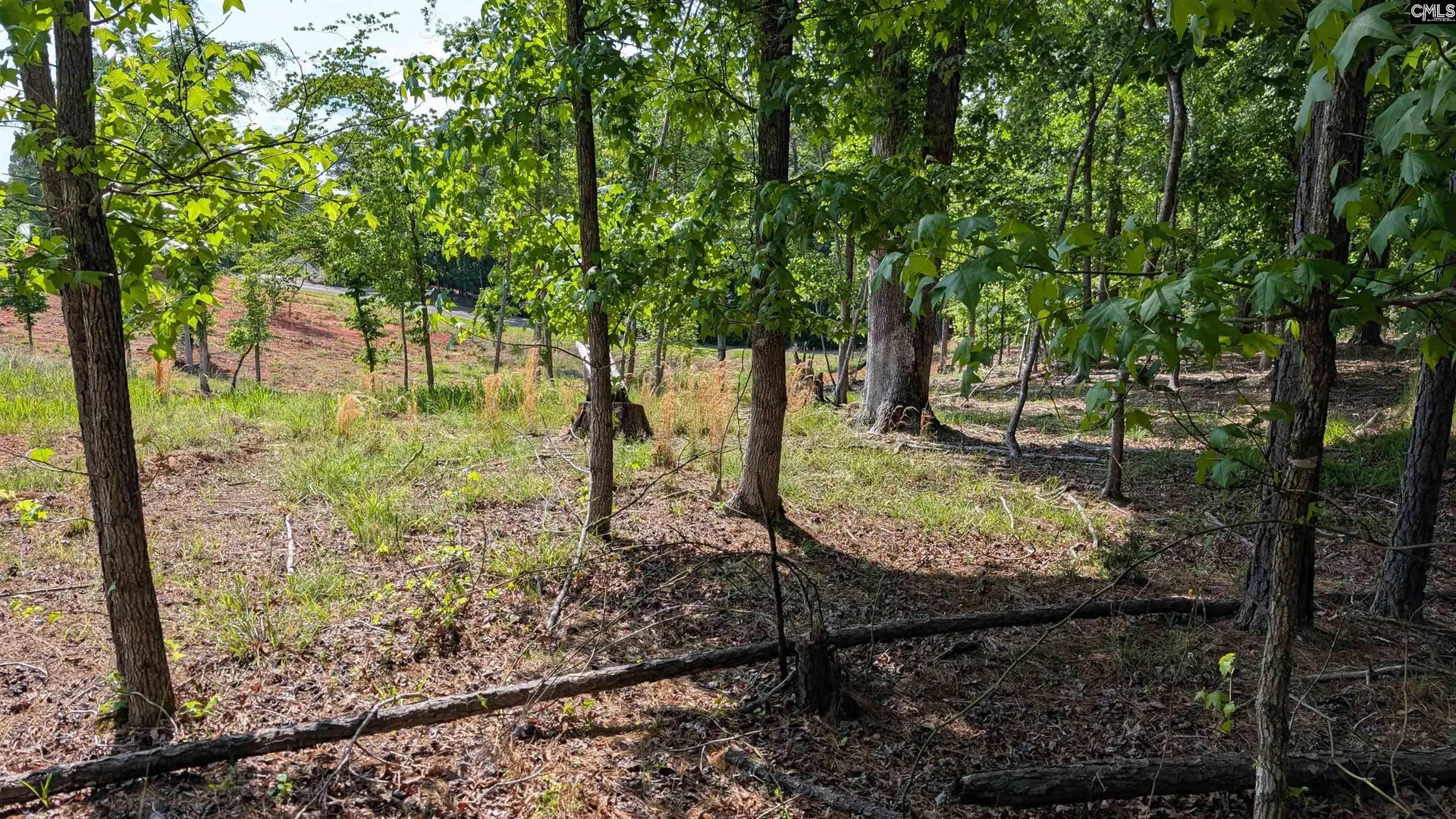 Property image 4 at TBD Rolling Hills Rd, Ridgeway, SC 29130-0000
