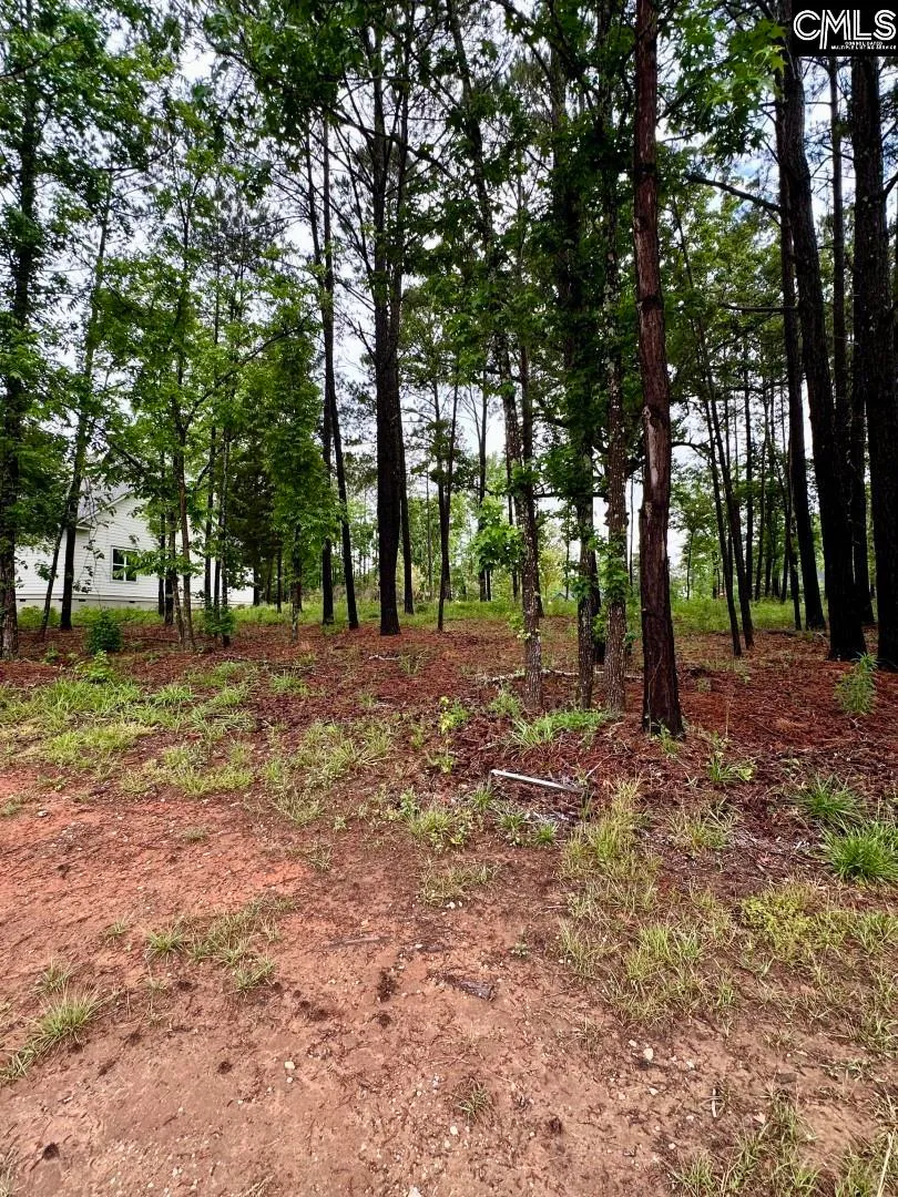 Property image 2 at 513 Misty Banks Drive, Chapin, SC 29036