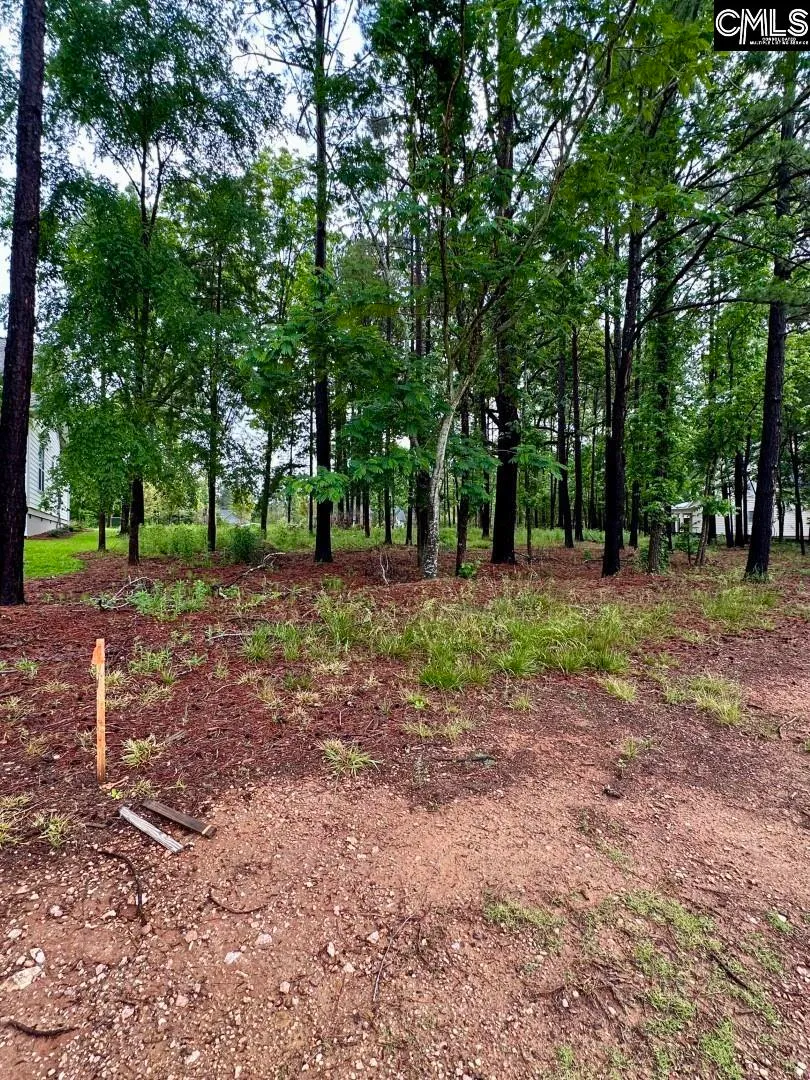 Property image 3 at 513 Misty Banks Drive, Chapin, SC 29036