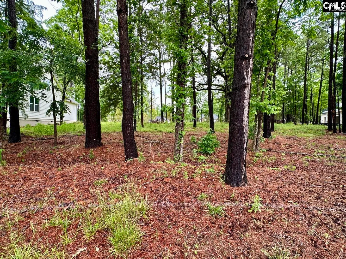 Property image 4 at 513 Misty Banks Drive, Chapin, SC 29036