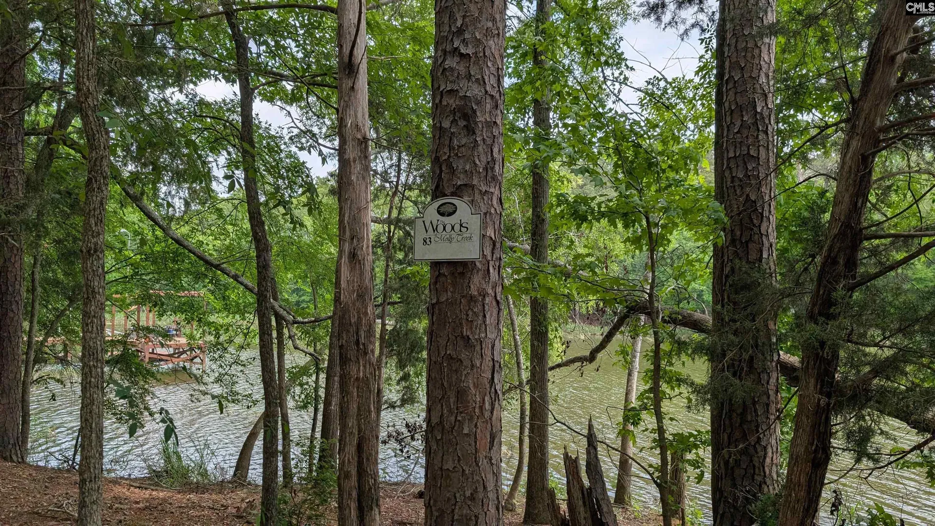 Property image 3 at Lot 83 Retreat Way, Ridgeway, SC 29130-0000