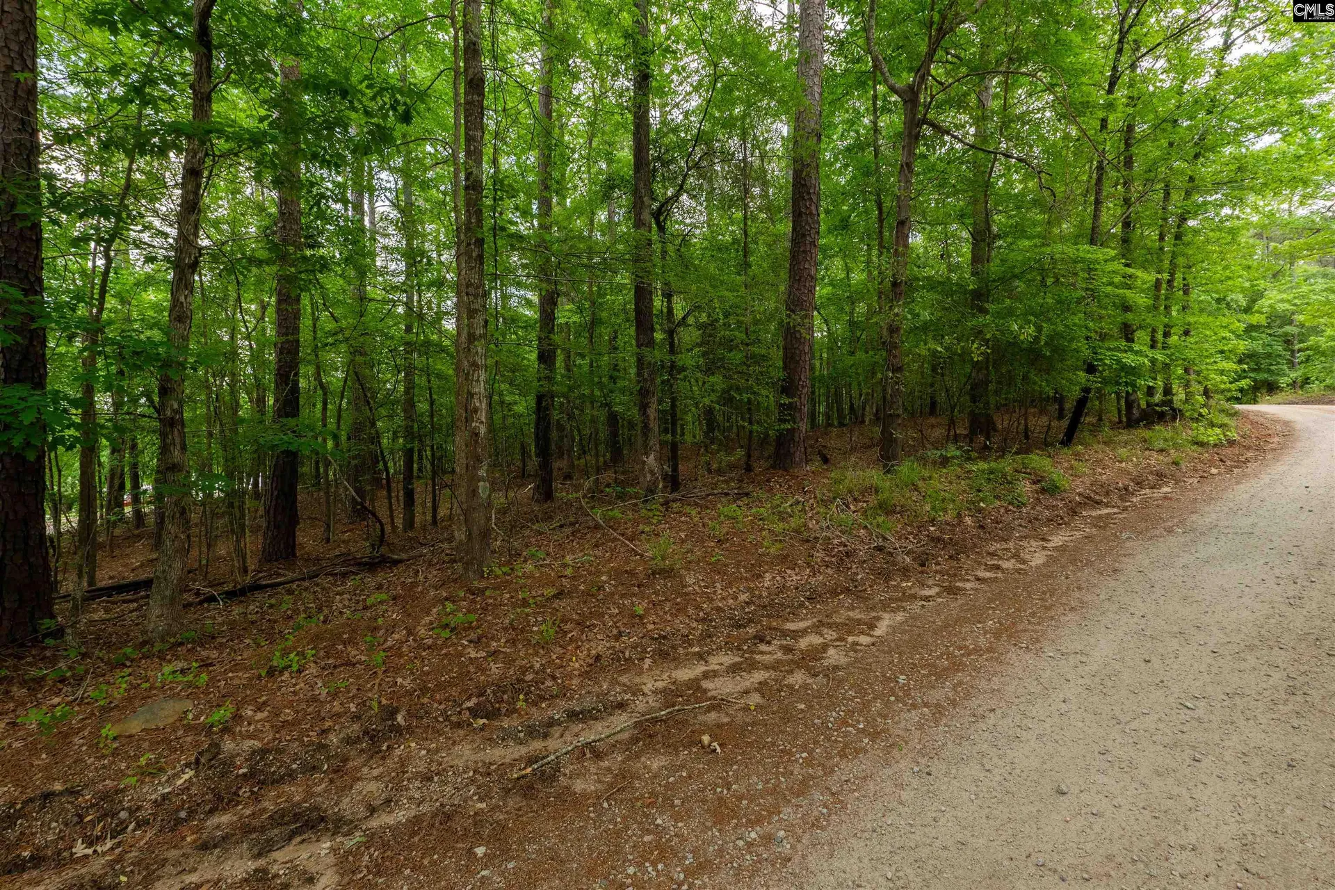 Property image 4 at 1427-1 Buck Hill Landing Road Lot 1, Ridgeway, SC 29130