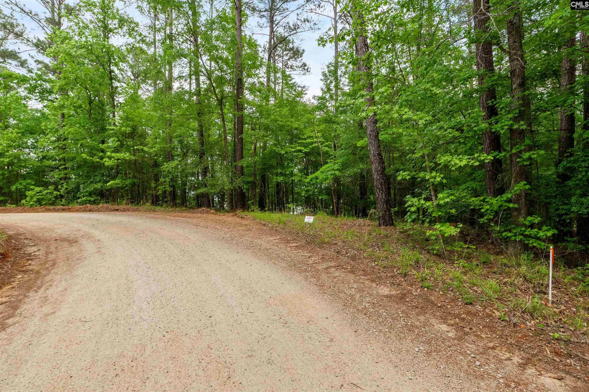 Property image 5 at 1427-1 Buck Hill Landing Road Lot 1, Ridgeway, SC 29130