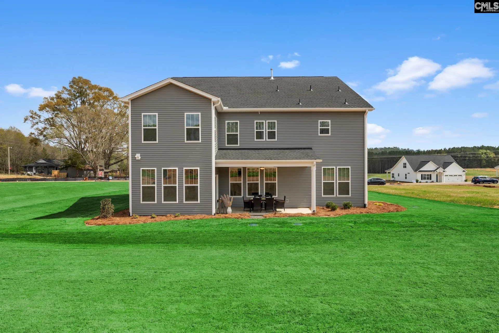 Property image 4 at 310 Rising Stream Way, Chapin, SC 29036