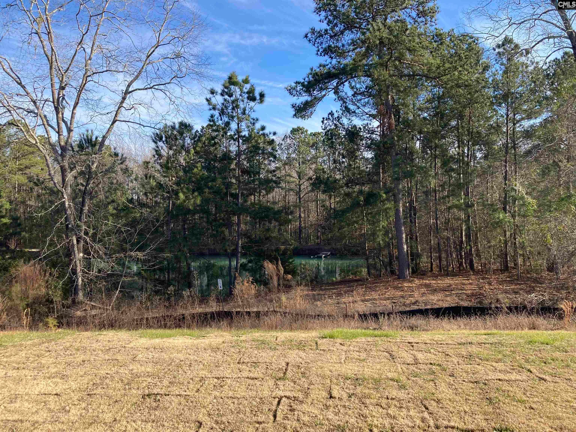 Property image 2 at 1680 Hidden Garden Lane, Gilbert, SC 29054