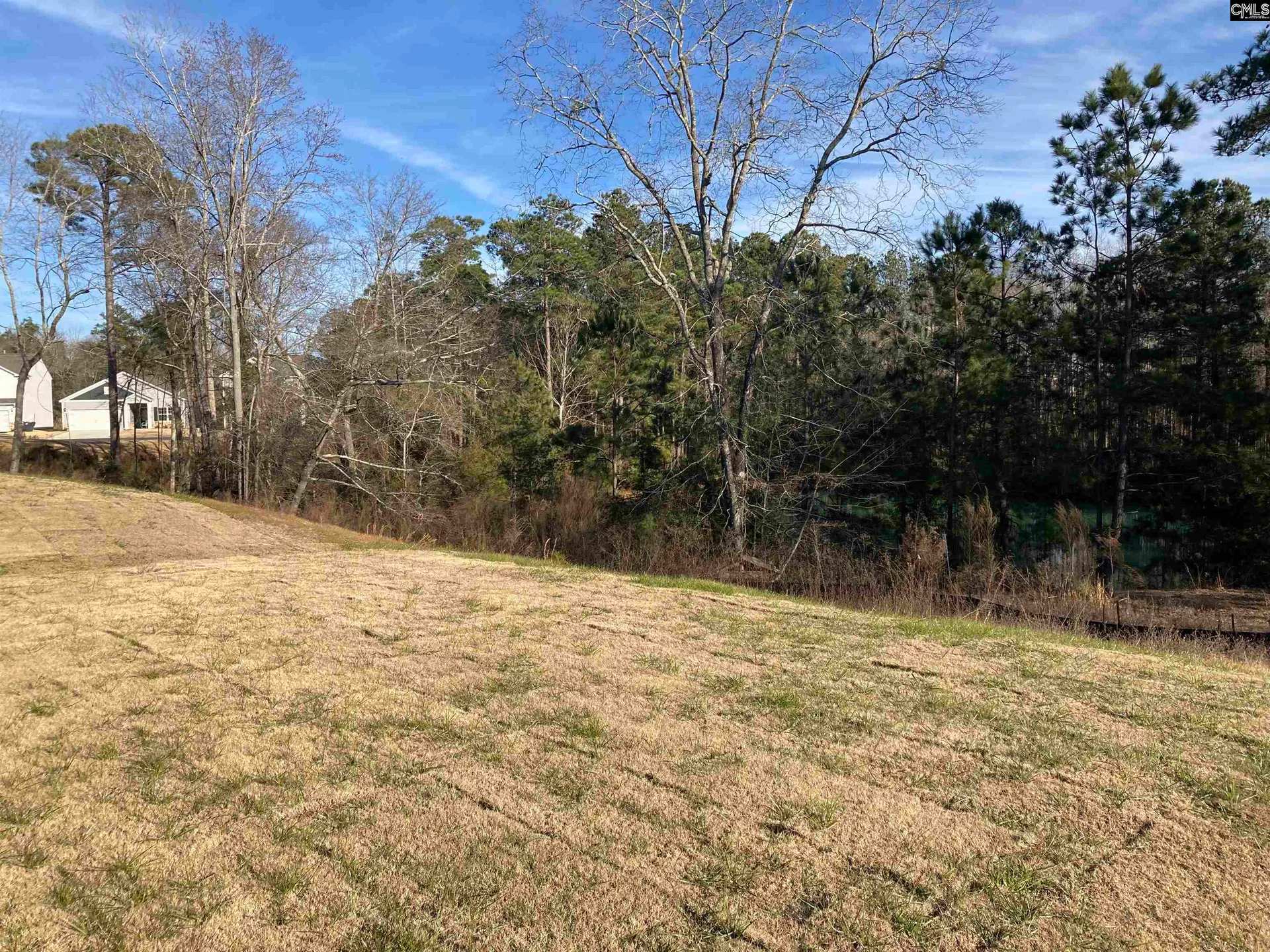 Property image 3 at 1680 Hidden Garden Lane, Gilbert, SC 29054