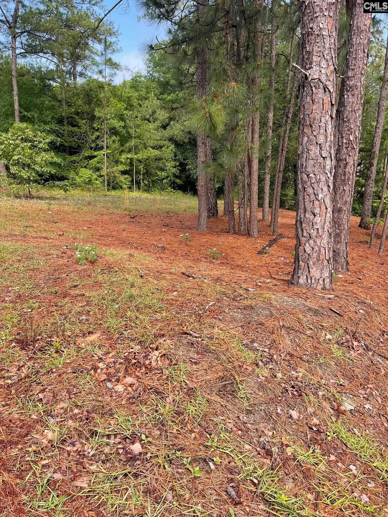 Property image 3 at 2233 Bee Ridge Road, Columbia, SC 29223