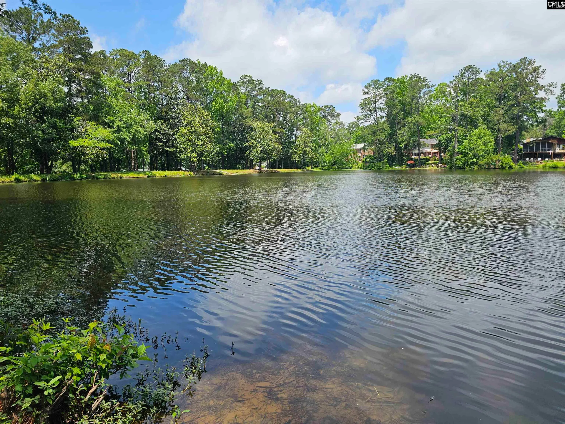 Property image 3 at 219 Tram Road, Columbia, SC 29210