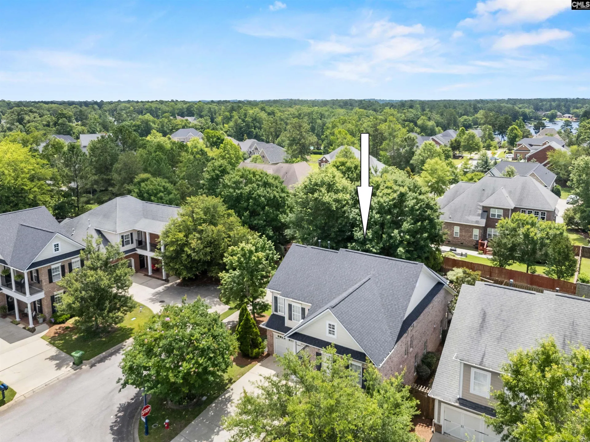 Property image 4 at 801 Boatswain Loop, Chapin, SC 29036