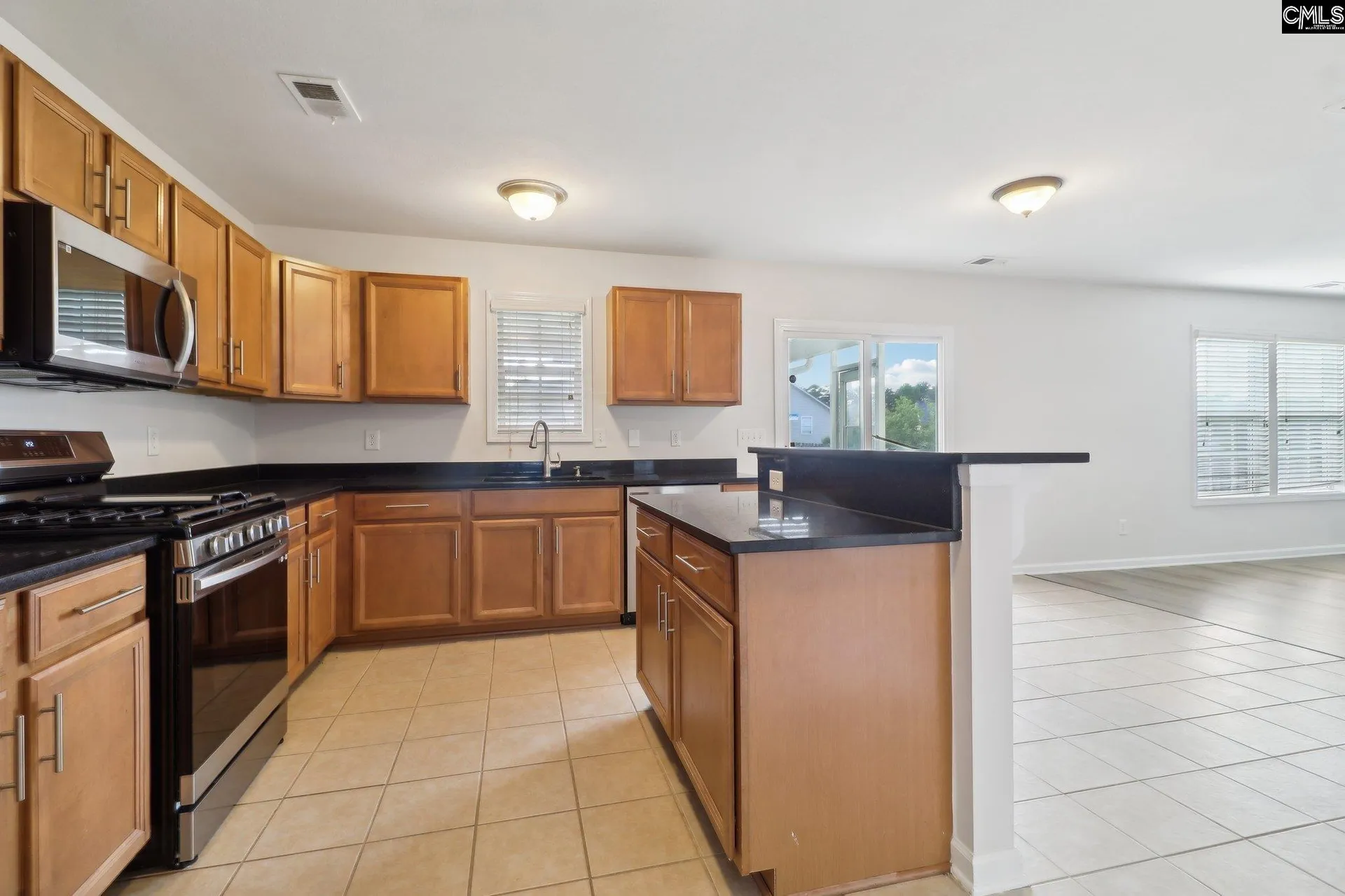 Property image 4 at 166 Cattle Baron Lane, Elgin, SC 29045