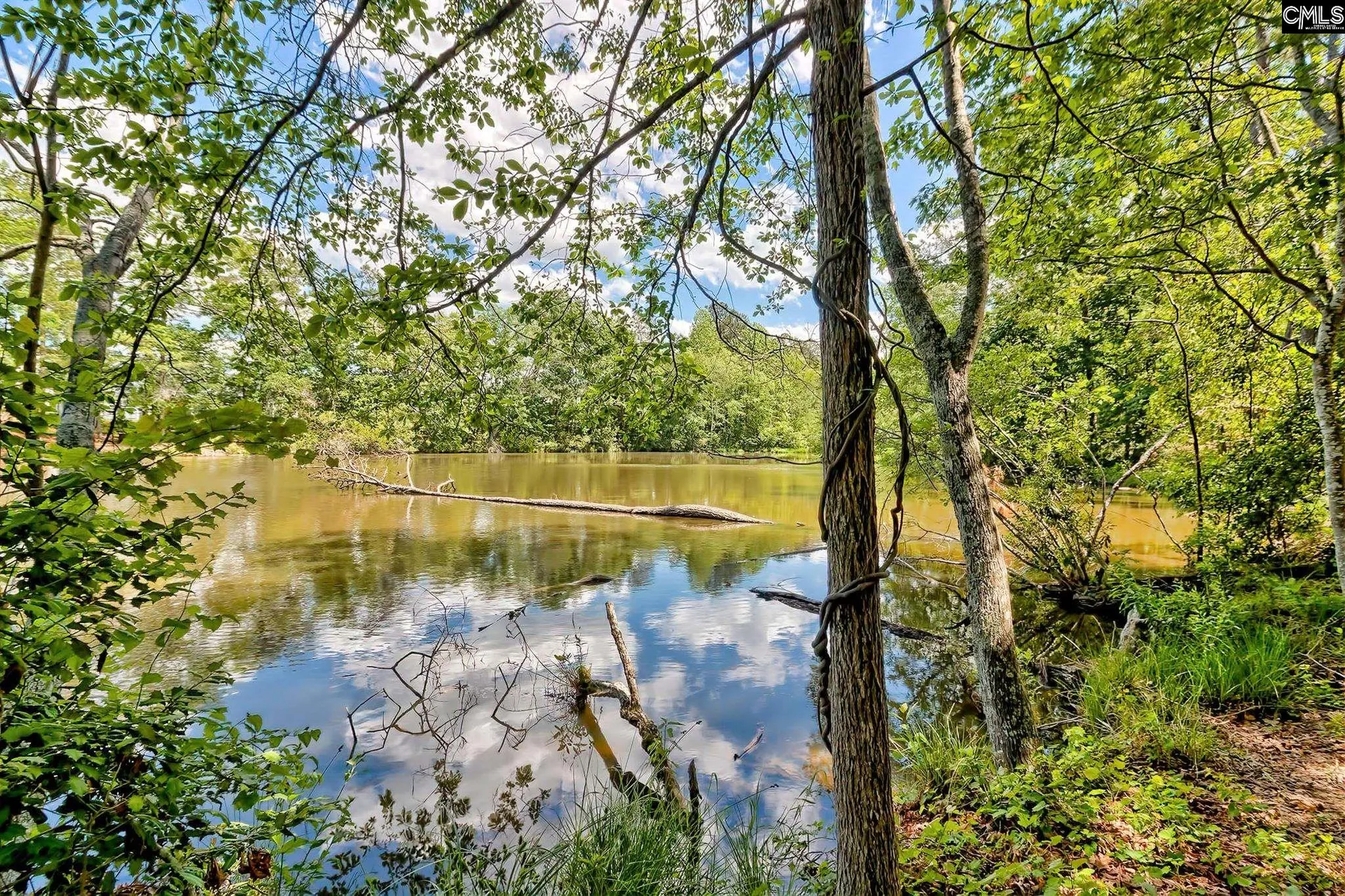 Property image 3 at 755 Tiger Lily Drive, Lexington, SC 29072