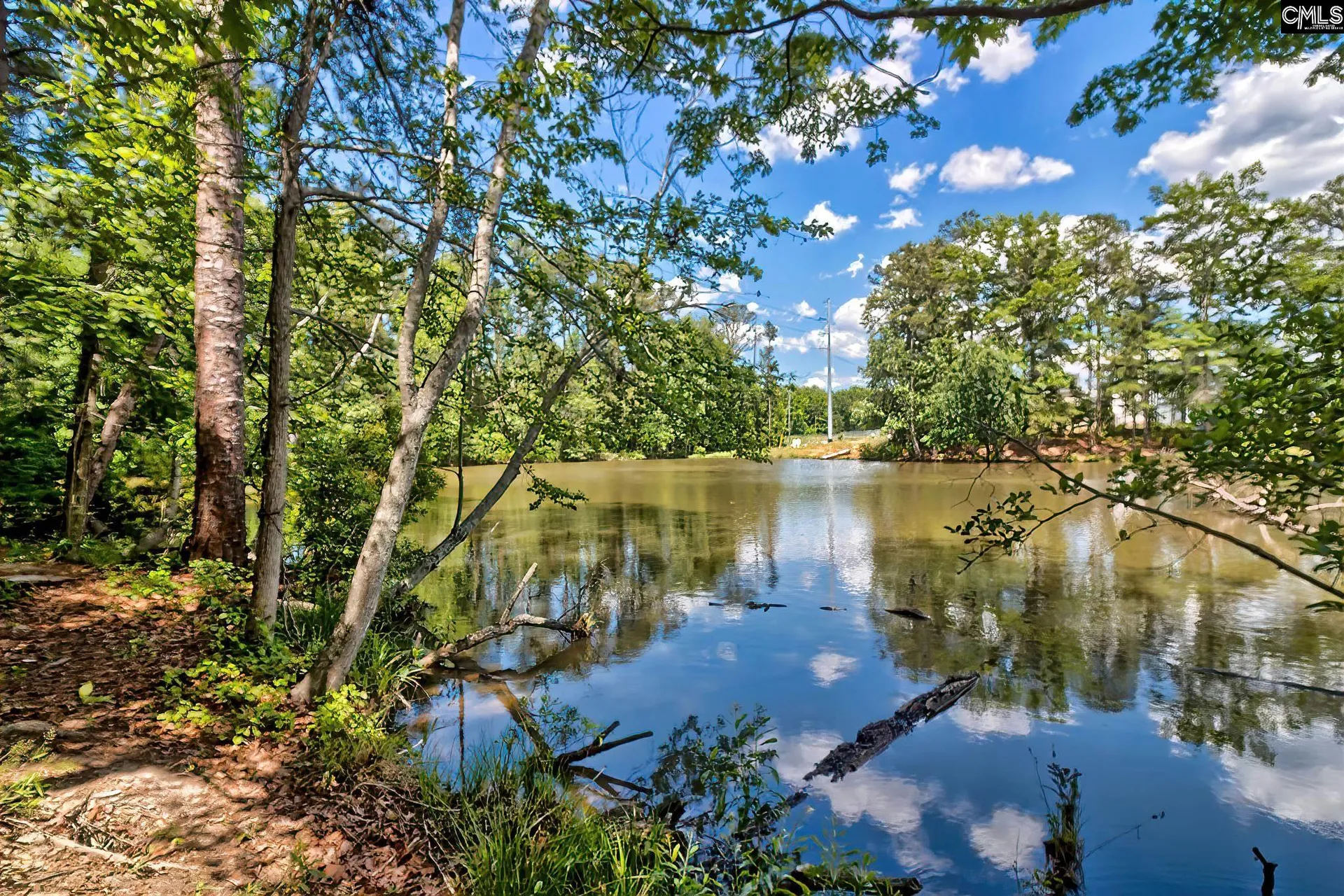 Property image 4 at 755 Tiger Lily Drive, Lexington, SC 29072