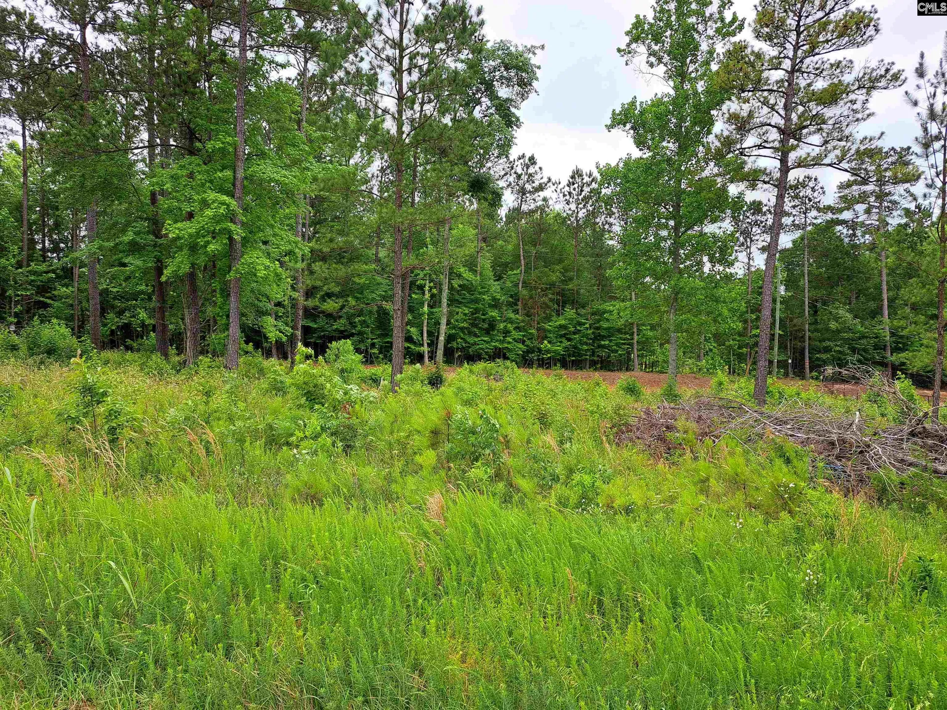 Lot 1 Longleaf Court