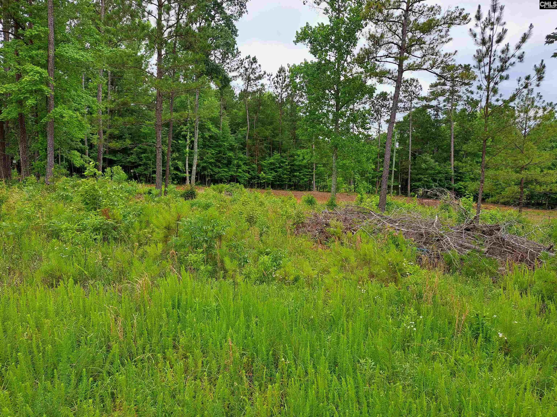 Property image 4 at Lot 1 Longleaf Court, Ridgeway, SC 29130
