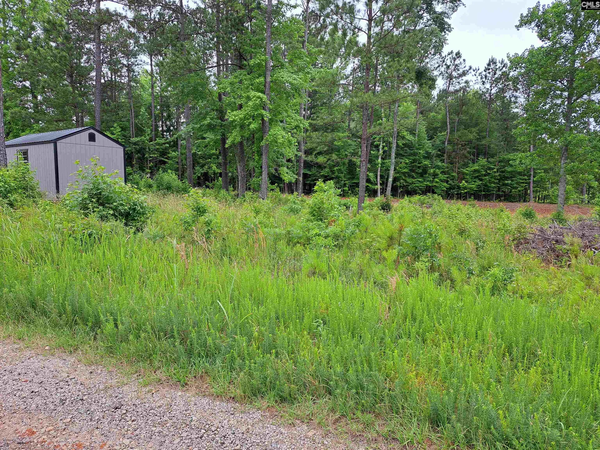 Property image 5 at Lot 1 Longleaf Court, Ridgeway, SC 29130