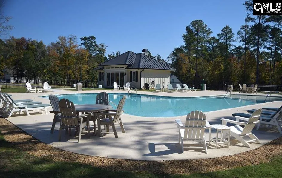 Property image 5 at 918 Salisbury Court, Chapin, SC 29036
