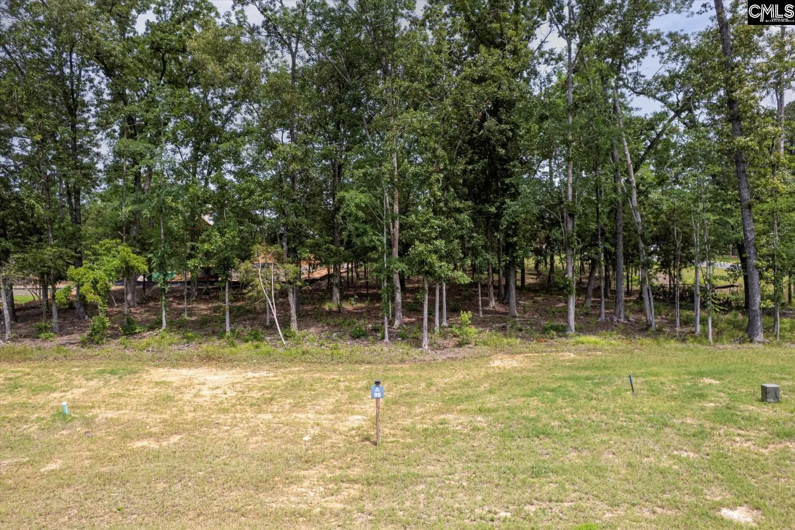 Property image 2 at 612 Misty Banks Drive, Chapin, SC 29036