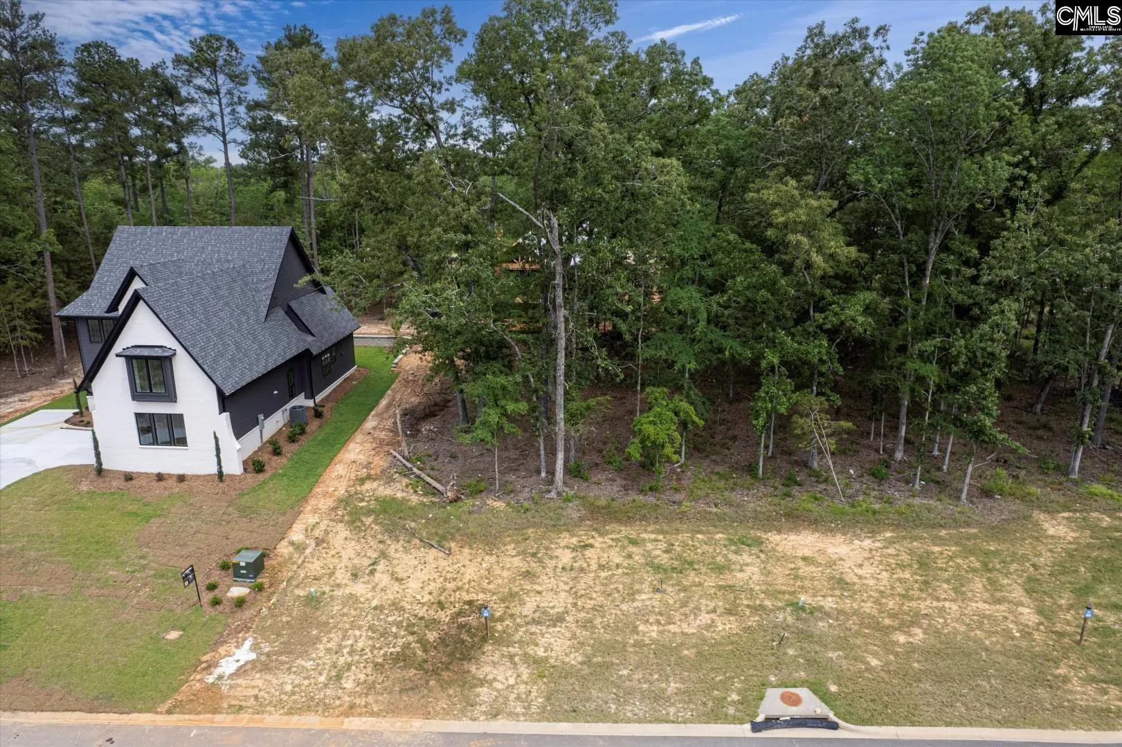 Property image 4 at 612 Misty Banks Drive, Chapin, SC 29036