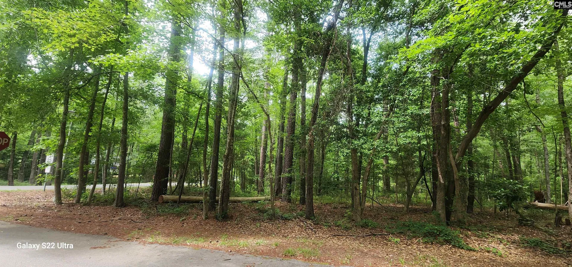 Property image 4 at 237 Fox Run Drive, Hopkins, SC 29061