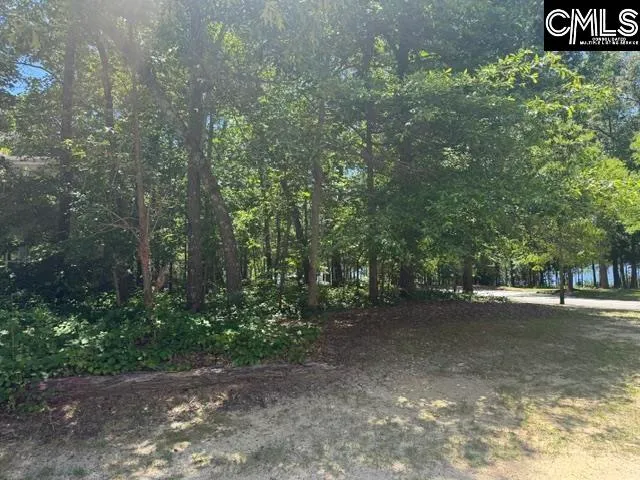 Property image 2 at 172 Harborside Circle, Columbia, SC 29229