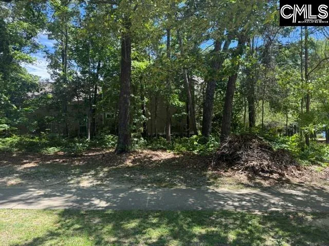 Property image 3 at 172 Harborside Circle, Columbia, SC 29229