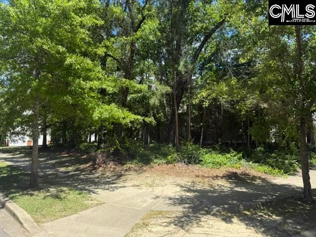 Property image 4 at 172 Harborside Circle, Columbia, SC 29229