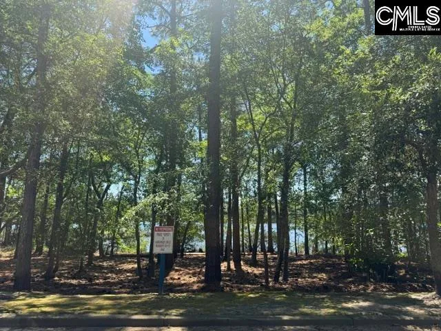 Property image 5 at 172 Harborside Circle, Columbia, SC 29229