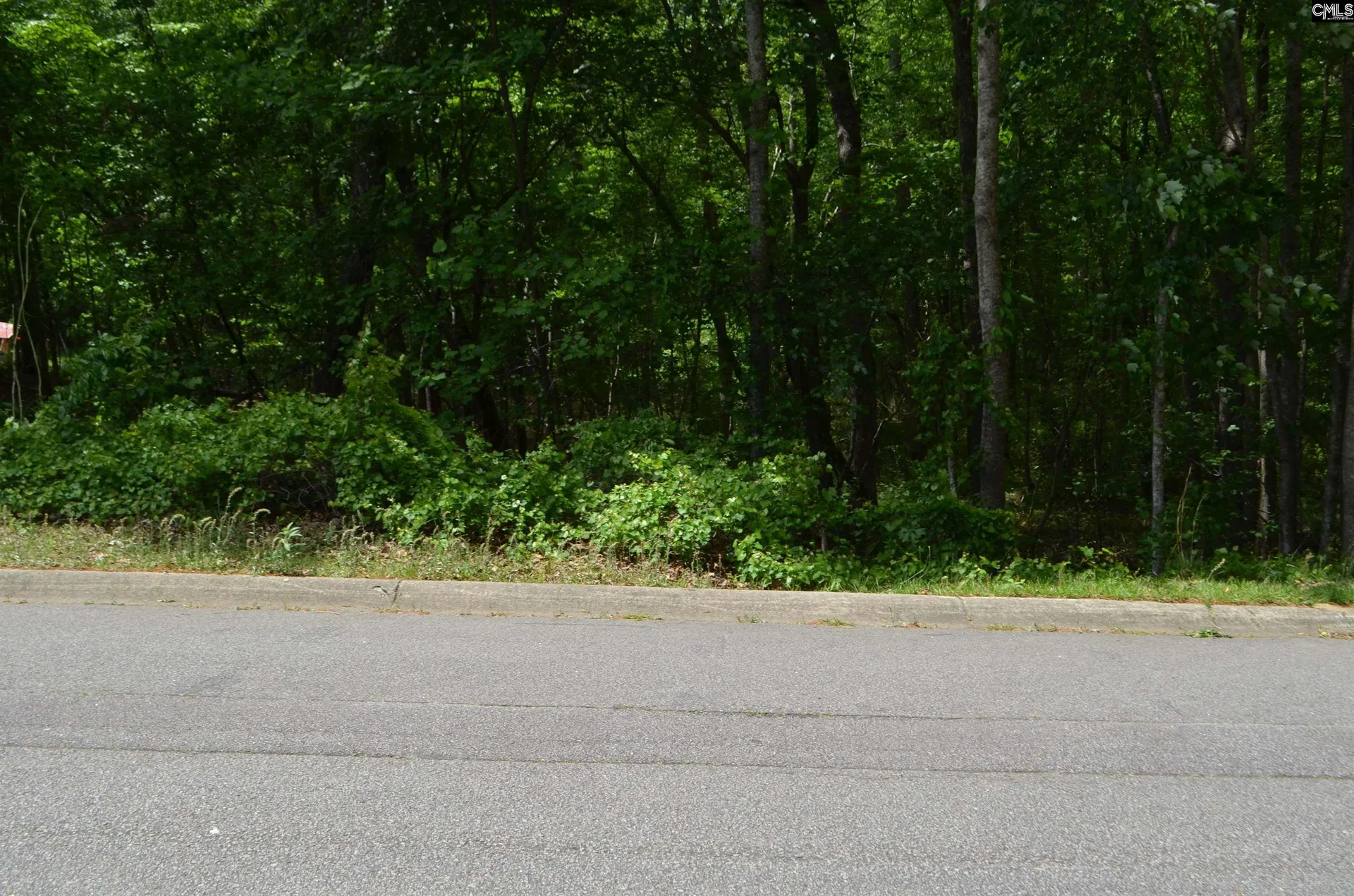 Lincolnshire, Columbia Community