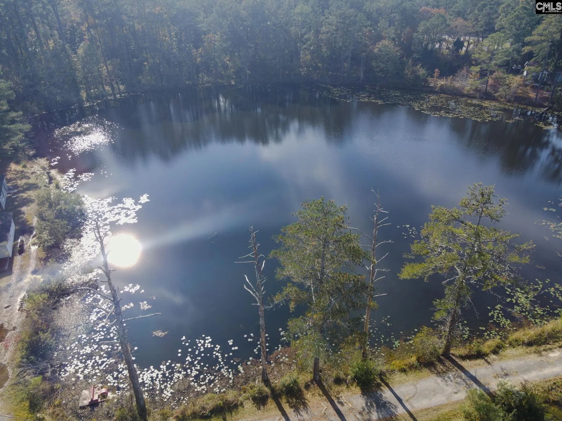Property image 2 at 101 Moolah Drive, Columbia, SC 29223