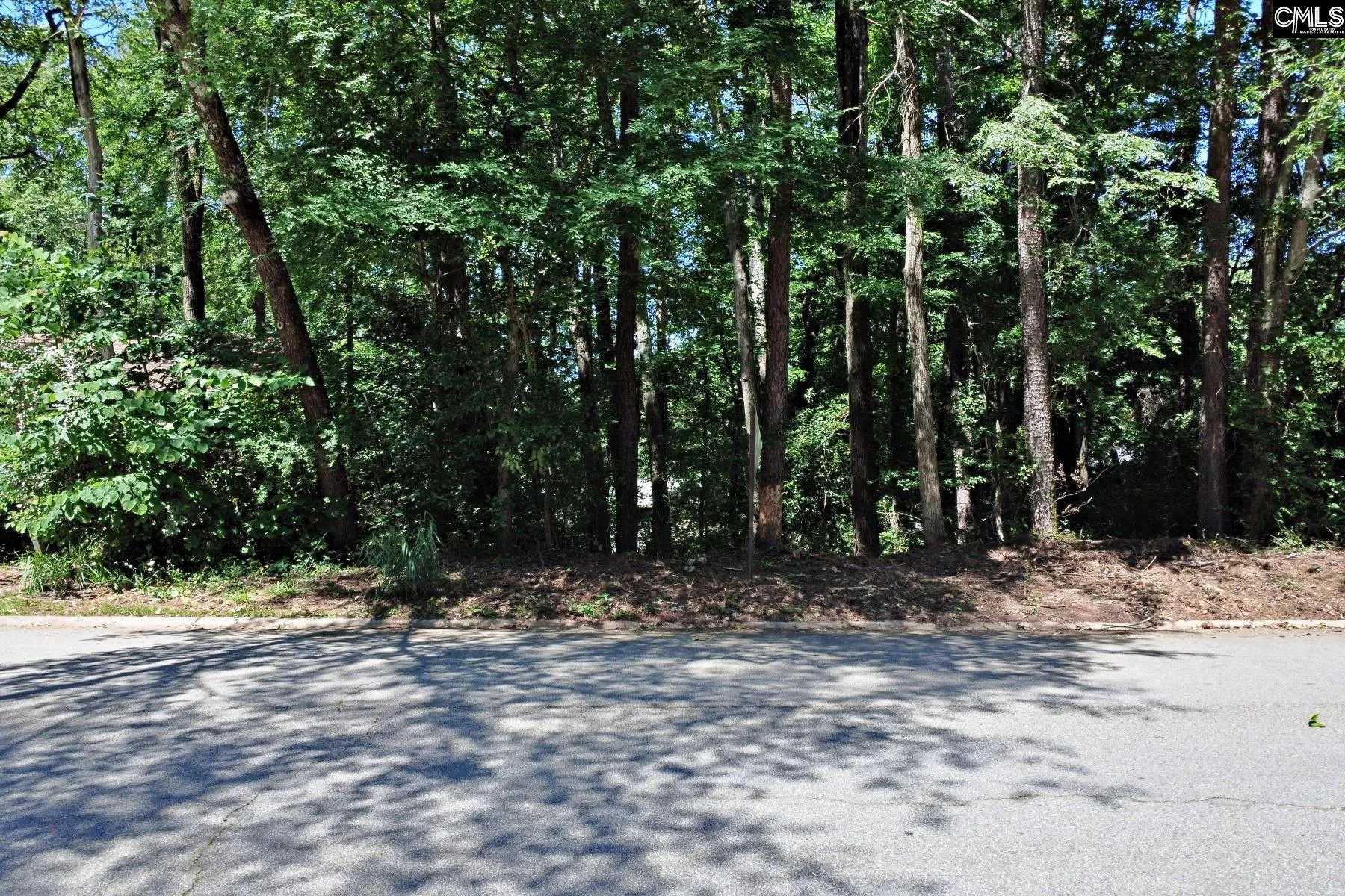 Property image 3 at 1315 Murraywood Dr, Columbia, SC 29212
