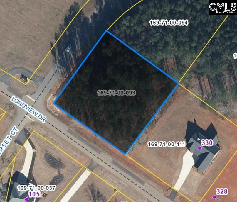 Property image 4 at Longview Drive, Leesville, SC 29070