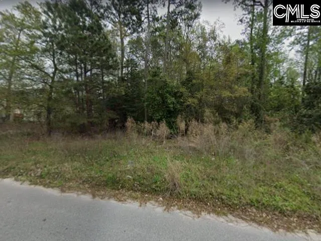 Property image 2 at 411 Hardwood Drive, Columbia, SC 29229