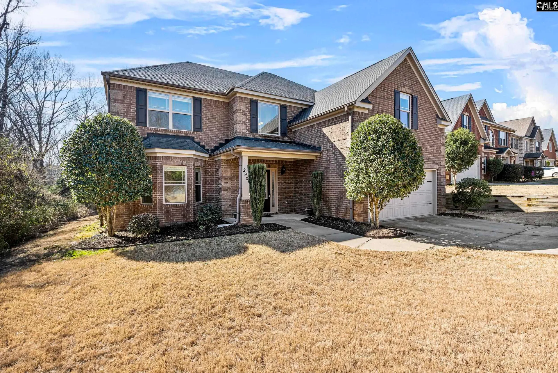 Property image 2 at 290 Hilton Village Drive, Chapin, SC 29063