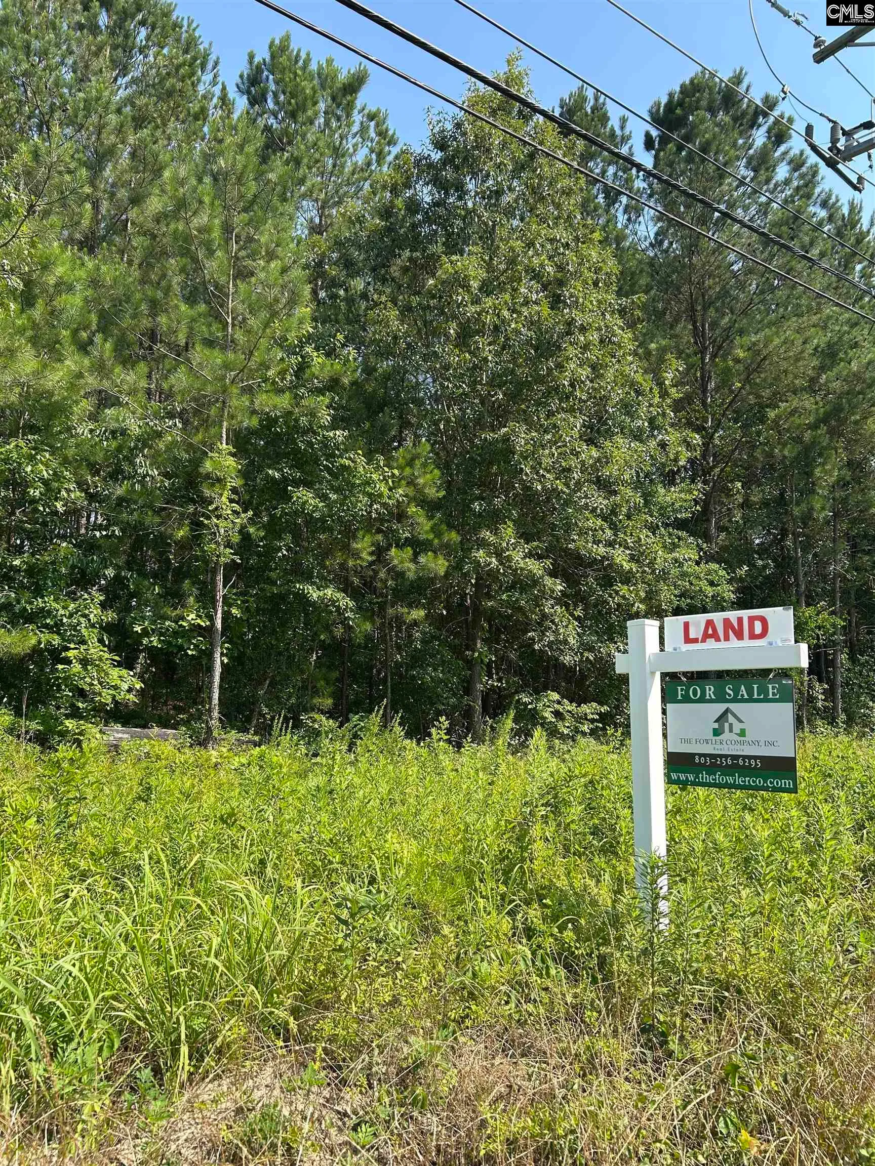 Arcadia Lakes, Columbia Community