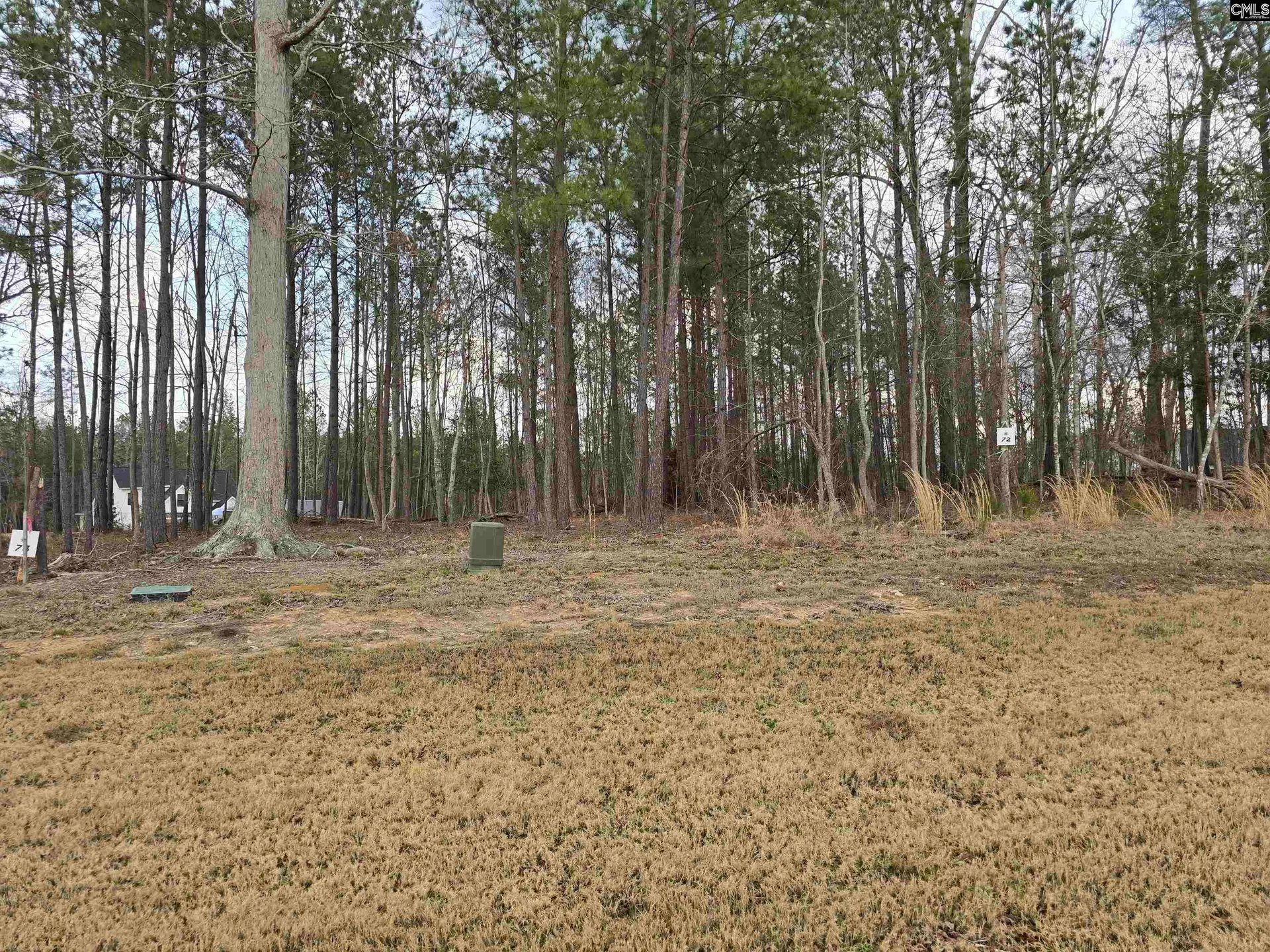 Property image 4 at 122 Timber Trail Lane, Prosperity, SC 29127