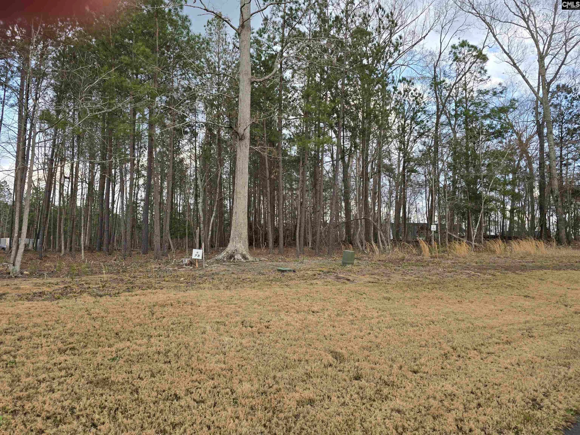 Property image 5 at 122 Timber Trail Lane, Prosperity, SC 29127