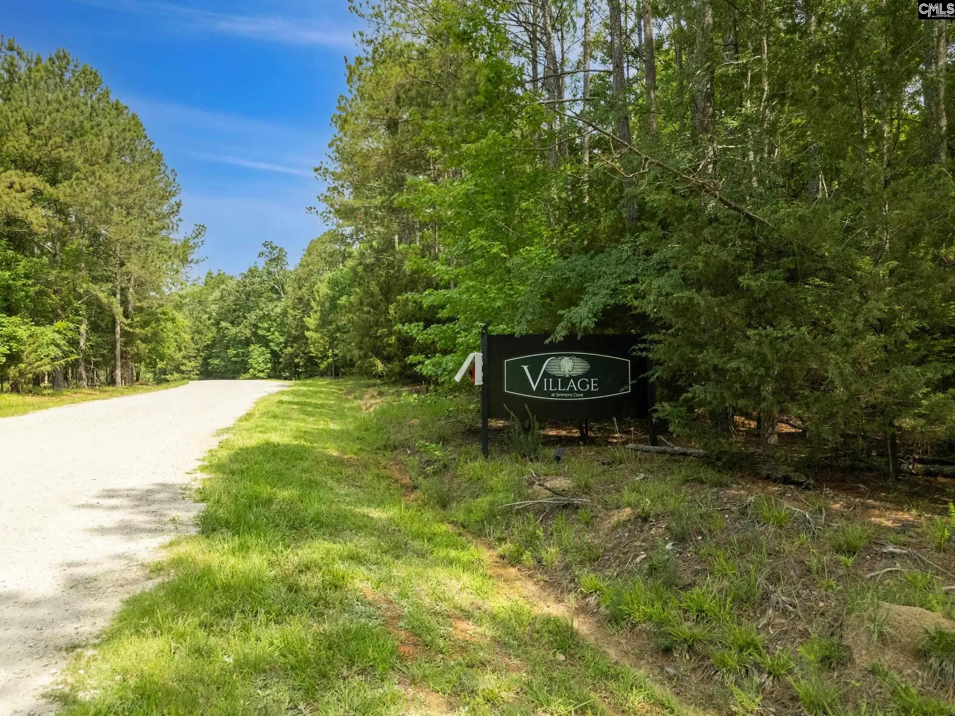 Property image 3 at 719 Clipper Trail, Chapin, SC 29036