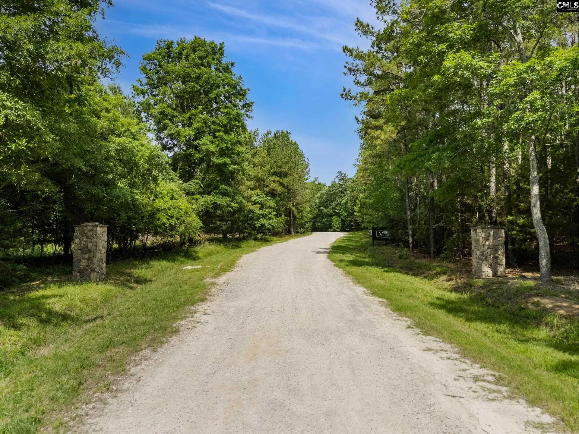 Property image 4 at 719 Clipper Trail, Chapin, SC 29036