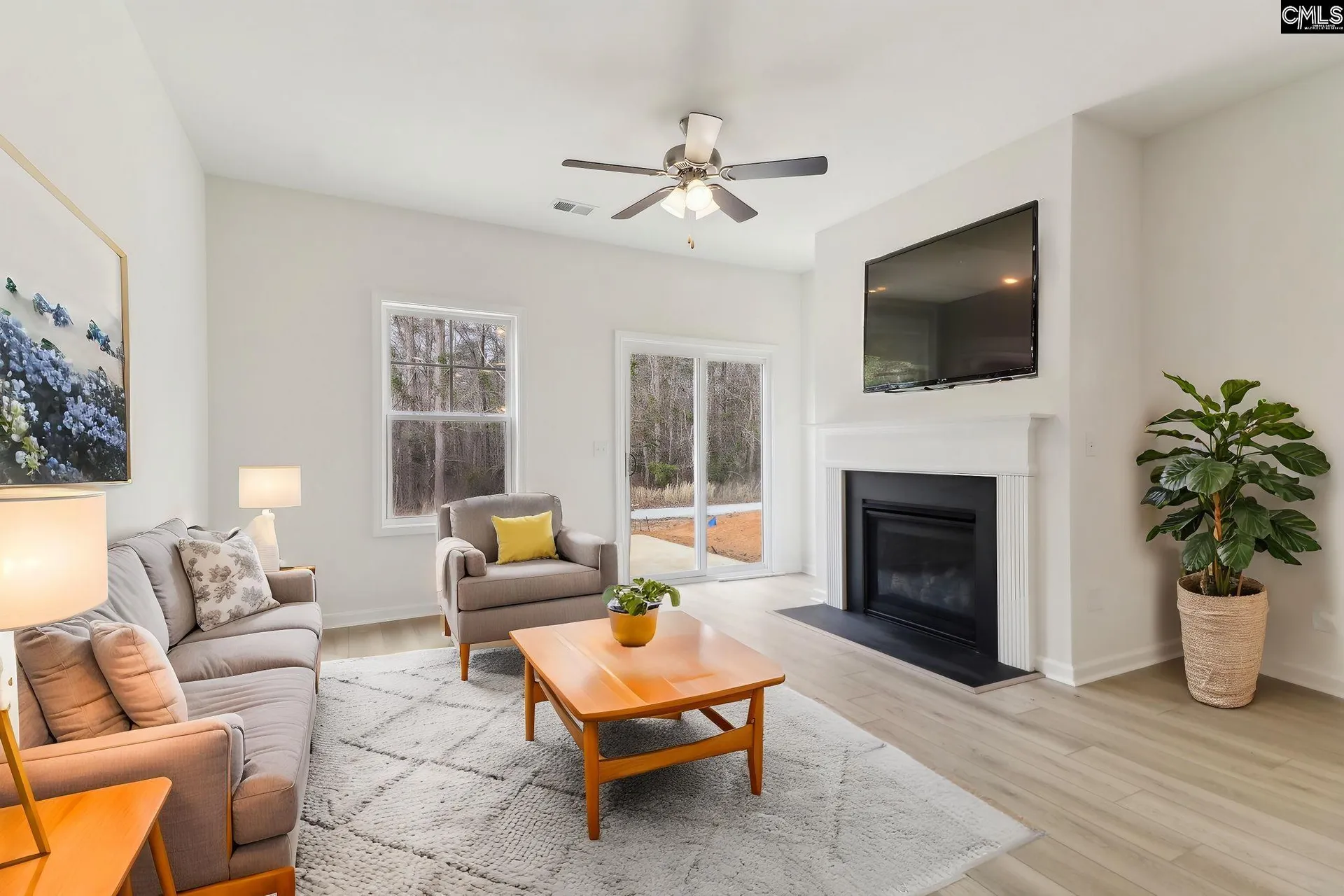 Property image 3 at 518 Griffon Drive, Chapin, SC 29036