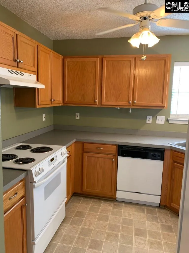 Property image 4 at 501 Beech Branch Drive, Irmo, SC 29063