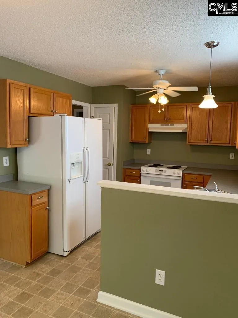 Property image 5 at 501 Beech Branch Drive, Irmo, SC 29063