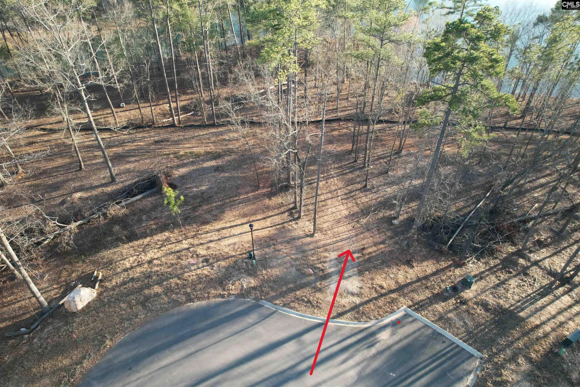 Property image 1 at 1533 Saugus Court, Chapin, SC 29036