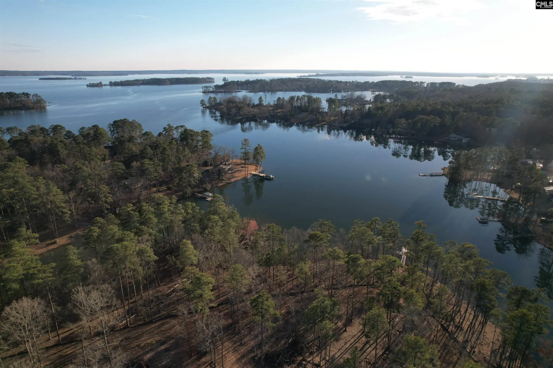 Property image 3 at 1533 Saugus Court, Chapin, SC 29036