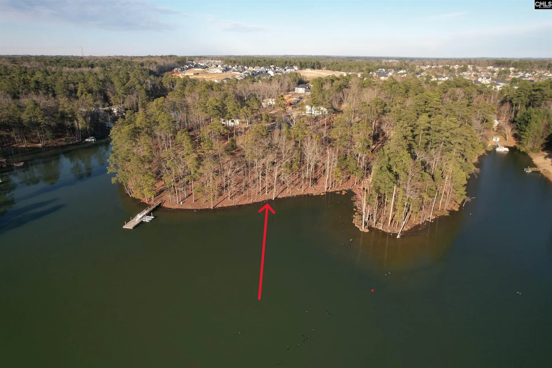 Property image 4 at 1533 Saugus Court, Chapin, SC 29036