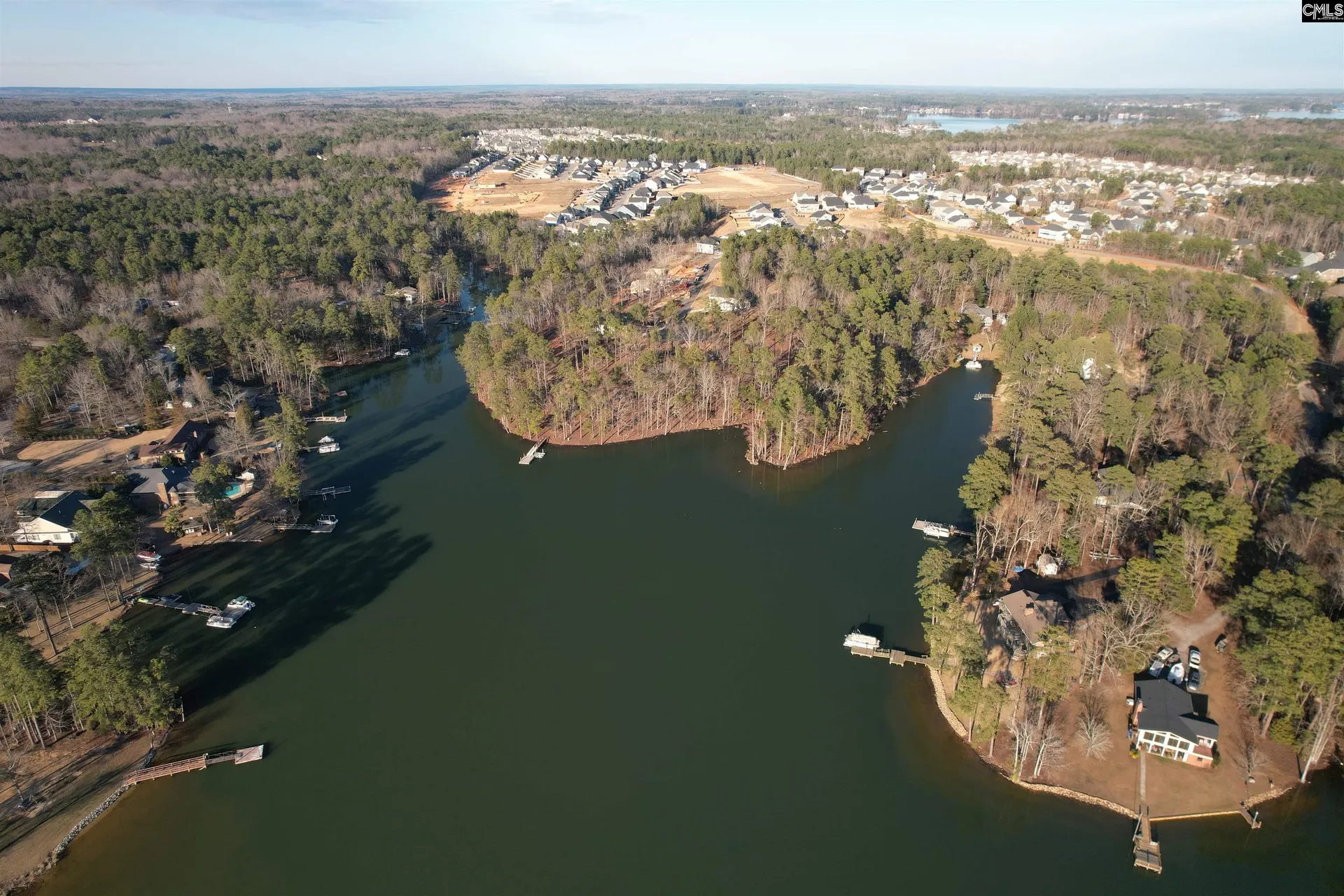 Property image 5 at 1533 Saugus Court, Chapin, SC 29036