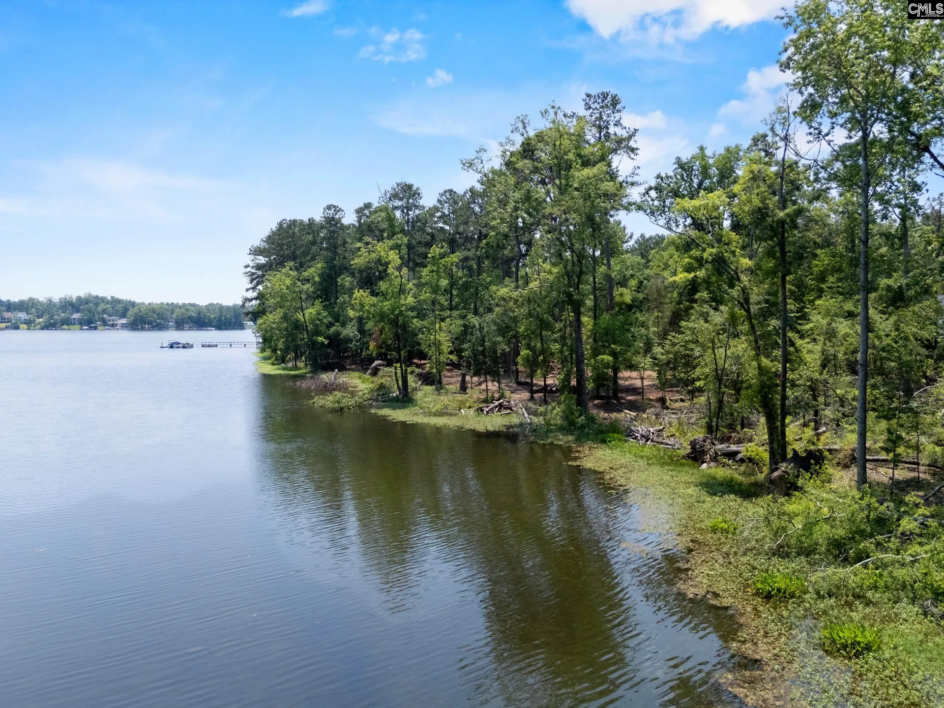 The Villages At Simmons Cove, Chapin Community