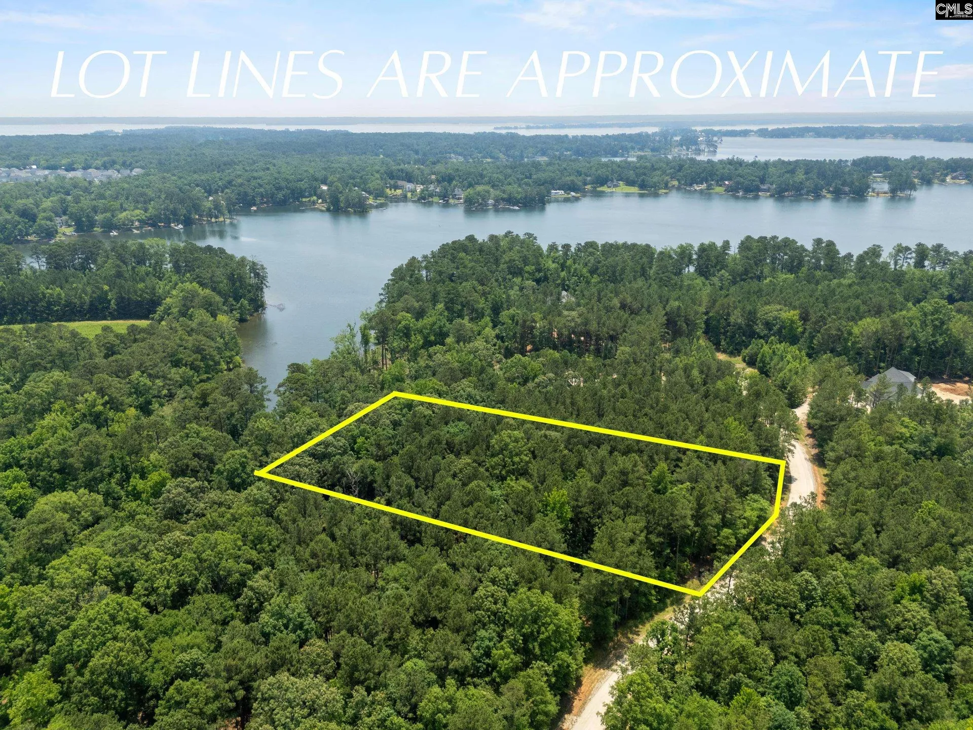 Property image 4 at 725 Clipper Trail, Chapin, SC 29036