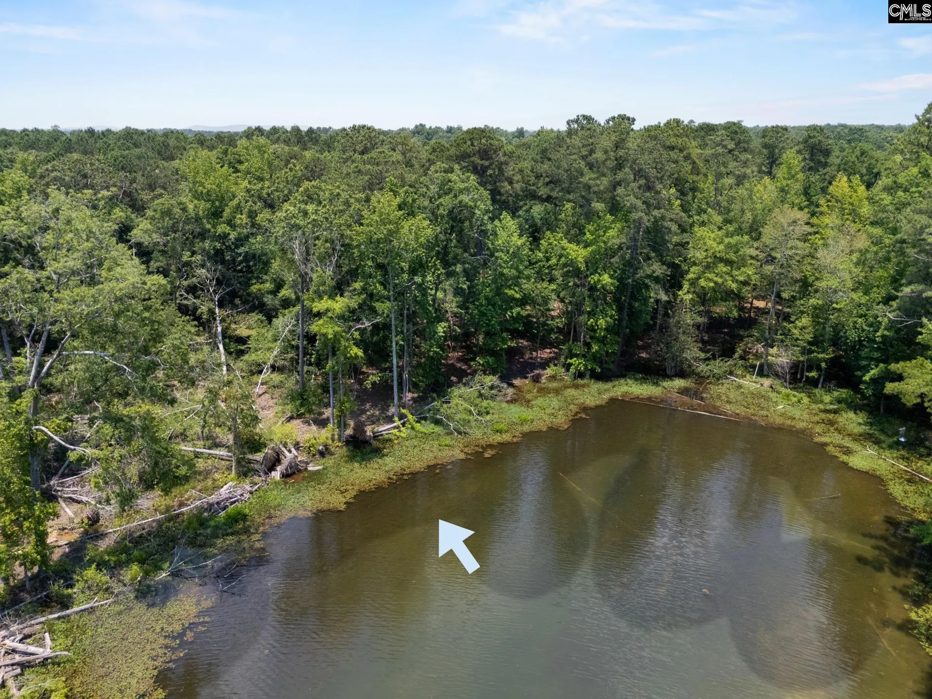 Property image 5 at 725 Clipper Trail, Chapin, SC 29036