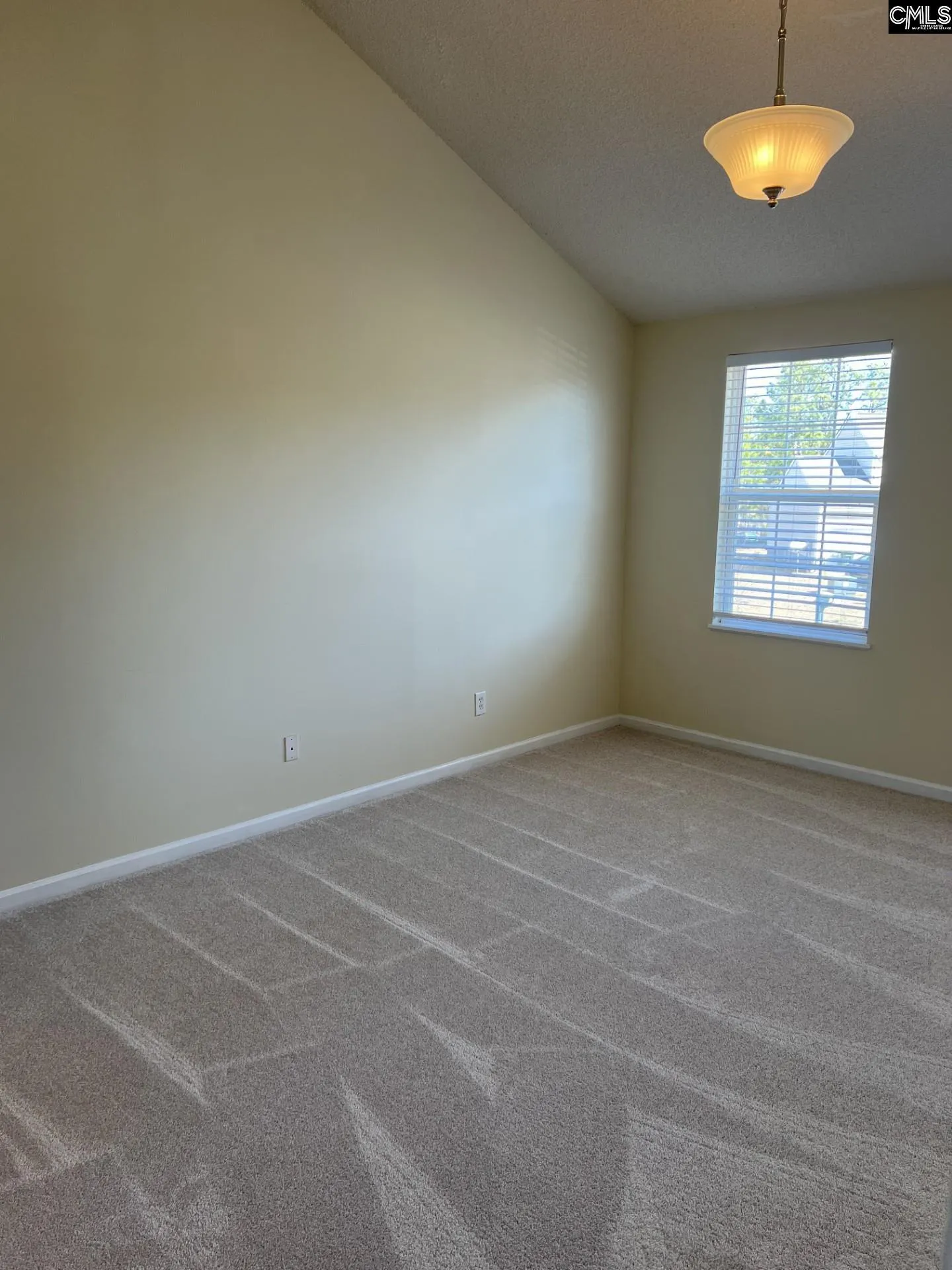 Property image 5 at 125 Kennicott Way, Gaston, SC 29053