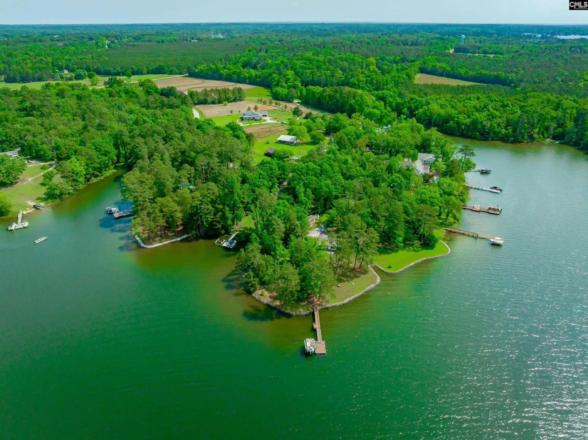 Property image 2 at 748 Crystal Lake Circle, Chapin, SC 29036
